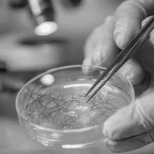 scientist creating hair in a lab